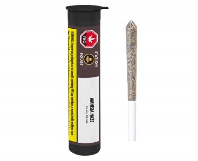 Station House Amnesia Haze PreRoll  1 x .5g