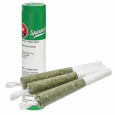 Spinach Frosted Cream Puffs 3 x 0.5g Pre-Rolls