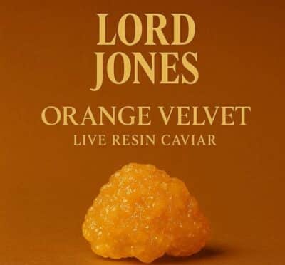 Lord Jones Orange Velvet 1g Live Resin Caviar