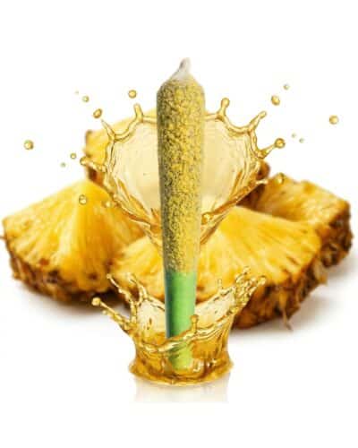 Dab Bods Pineapple Gone Wild 3 x 0.6g Diamond Dusted Infused Pre-Rolls