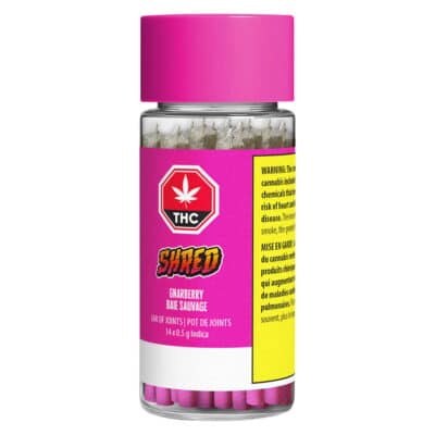 Shred Gnarberry J's Pre-Rolls 14x0.5g