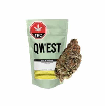 Qwest White Walker Craft 7g Dried Flower