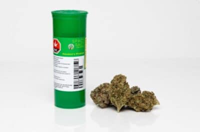 Space Race Houston's Problem 7g Dried Flower