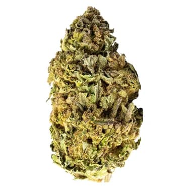Canadian Cannabis Organic Orange Crush Dried Flower 14g